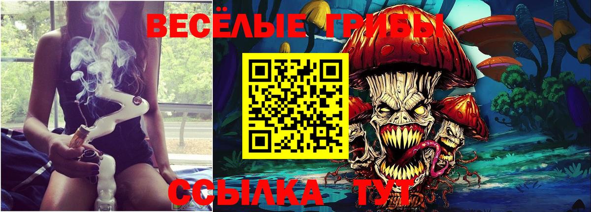 Псилоцибиновые грибы Magic Shrooms Советская Гавань